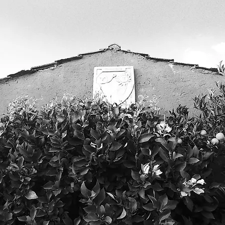 Bed & Breakfast Colle Cucchiara Cassino