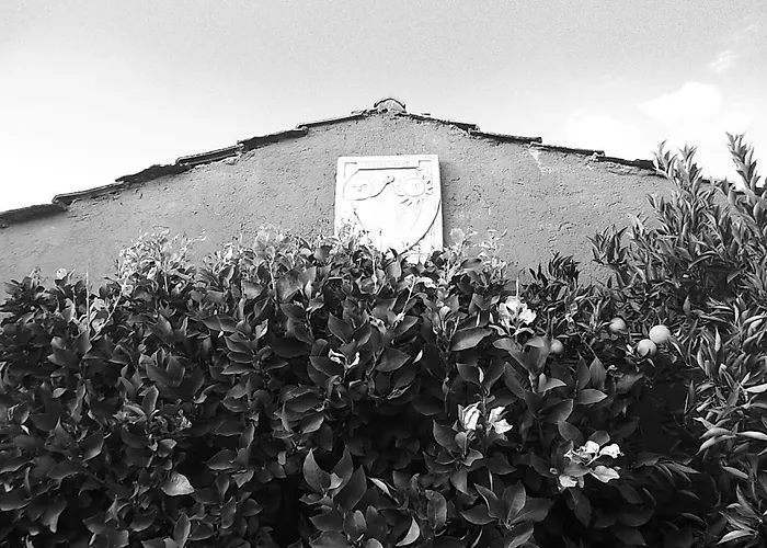 住宿加早餐酒店 Colle Cucchiara 卡西诺